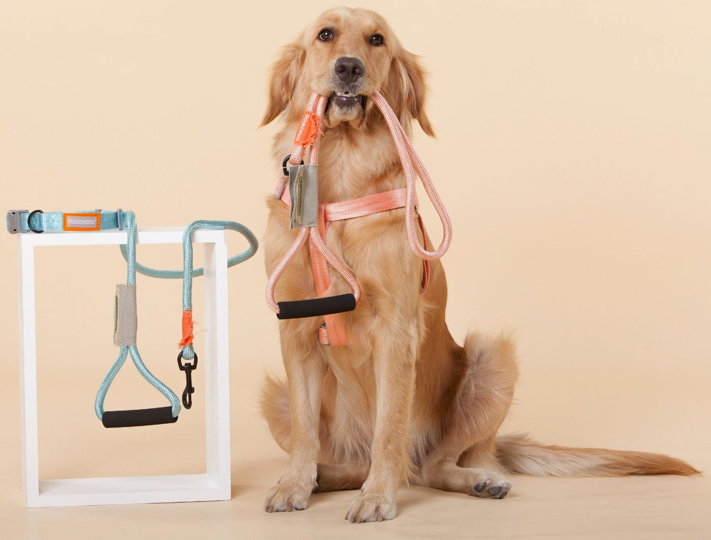 Touchdog 'Macaron' 2 - in - 1 Durable Nylon Dog Harness and Leash