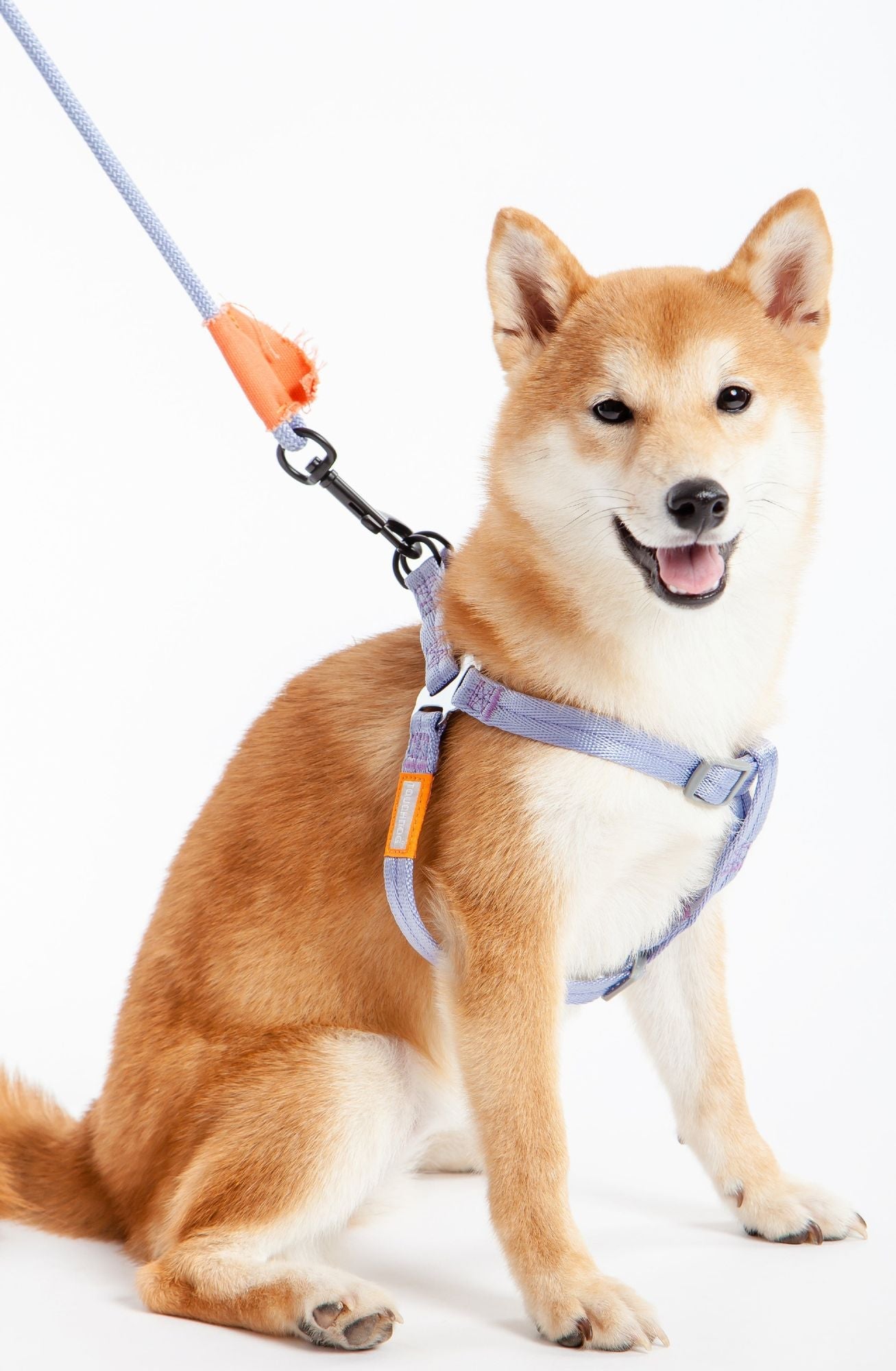 Touchdog 'Macaron' 2 - in - 1 Durable Nylon Dog Harness and Leash