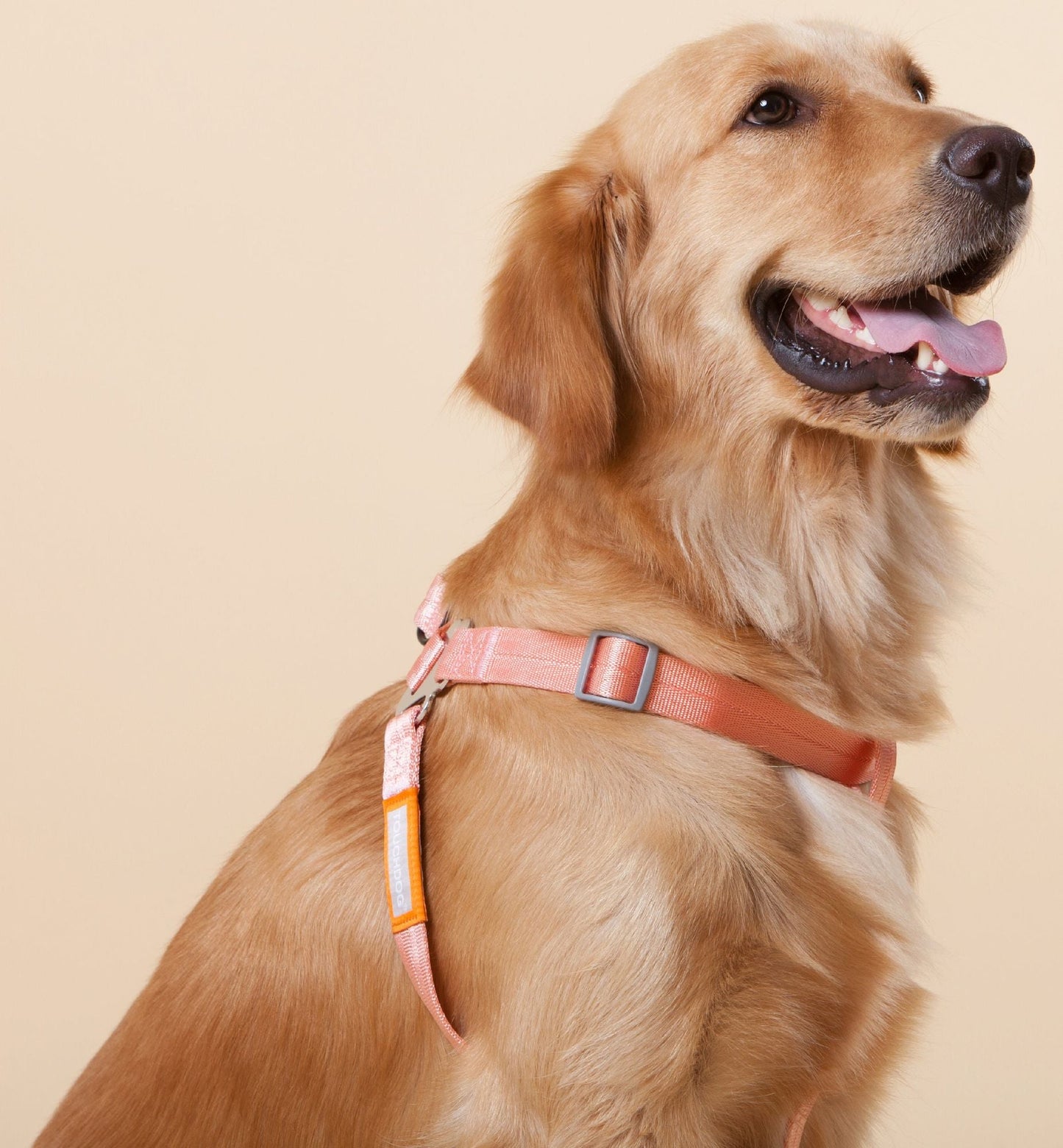 Touchdog 'Macaron' 2 - in - 1 Durable Nylon Dog Harness and Leash