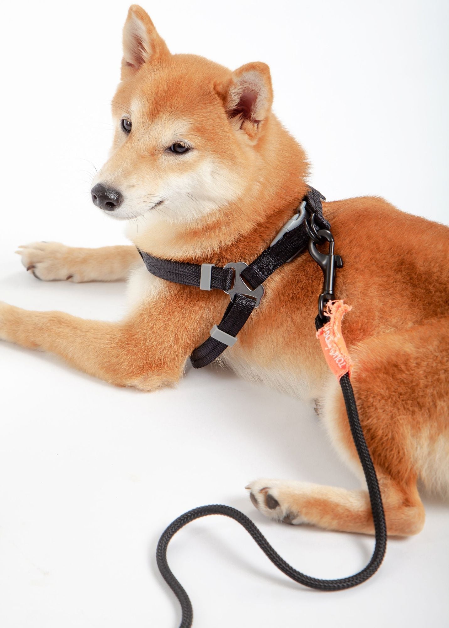 Touchdog 'Macaron' 2 - in - 1 Durable Nylon Dog Harness and Leash