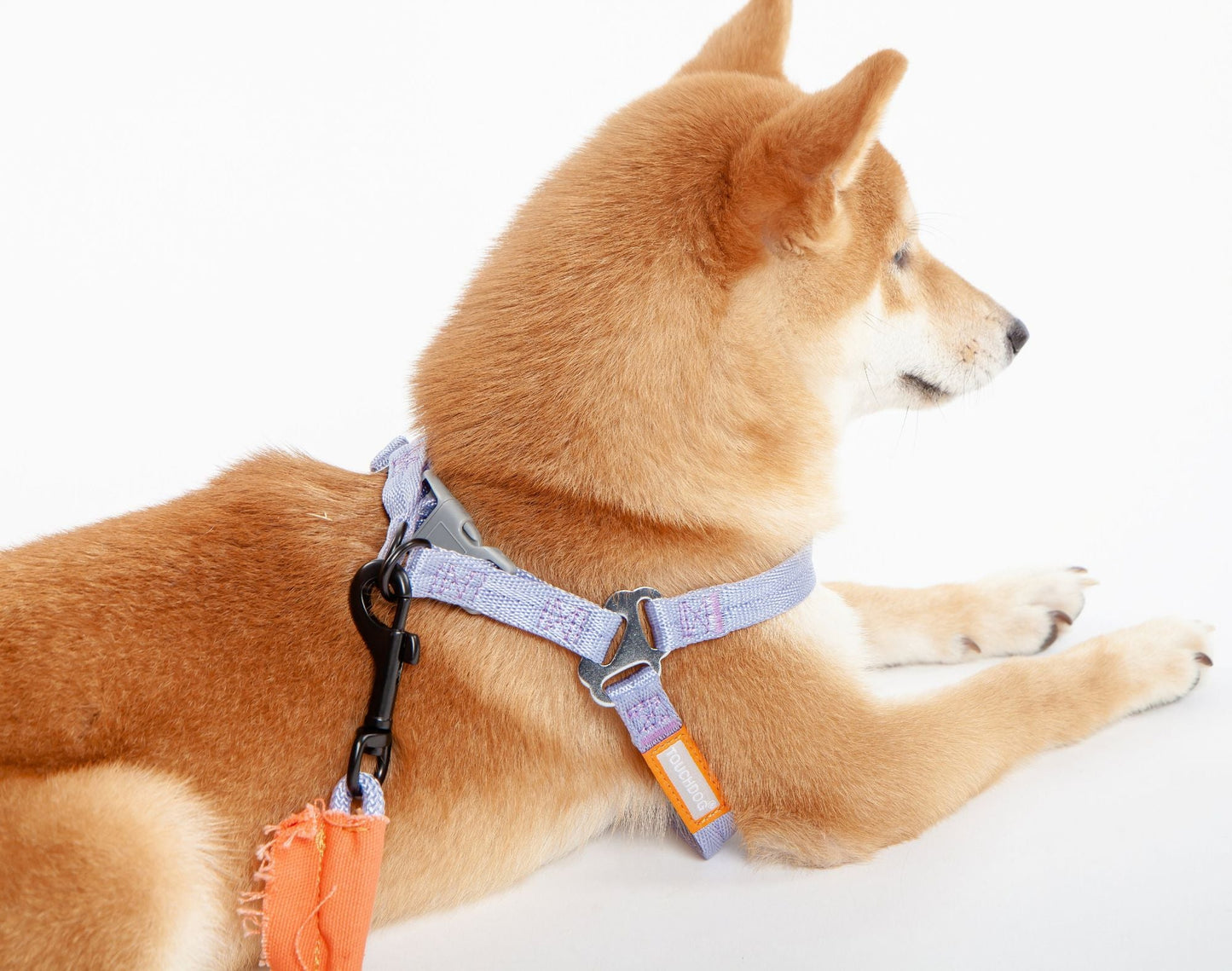 Touchdog 'Macaron' 2 - in - 1 Durable Nylon Dog Harness and Leash