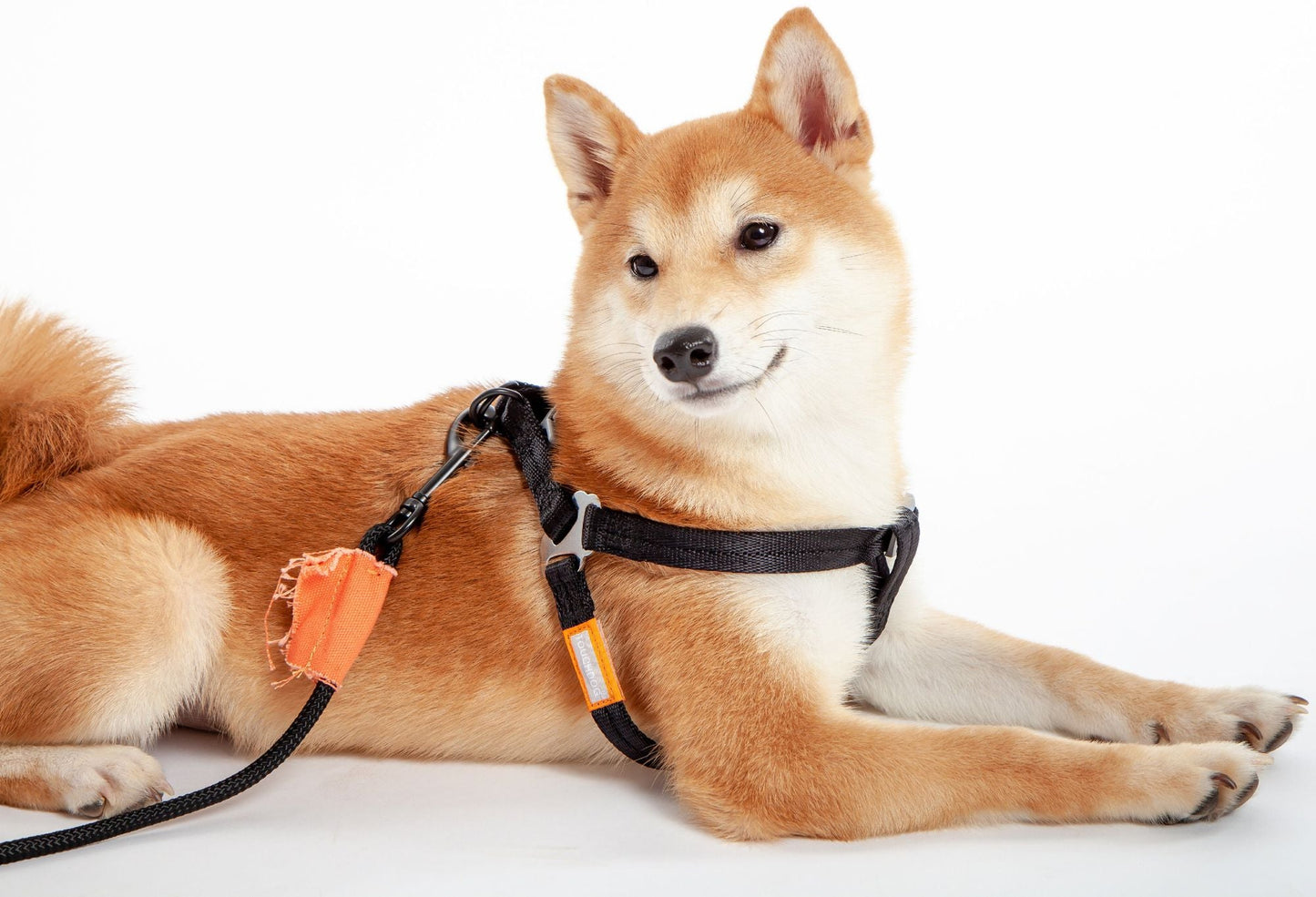 Touchdog 'Macaron' 2 - in - 1 Durable Nylon Dog Harness and Leash