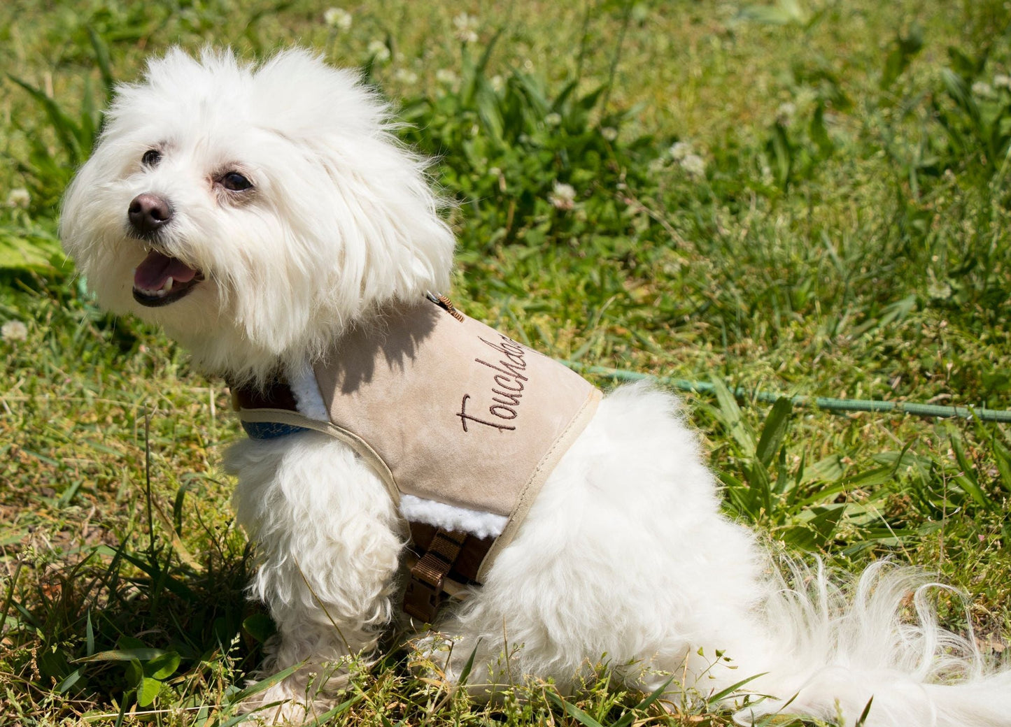 Touchdog Tough - Boutique Adjustable Fashion Dog Harness And Leash