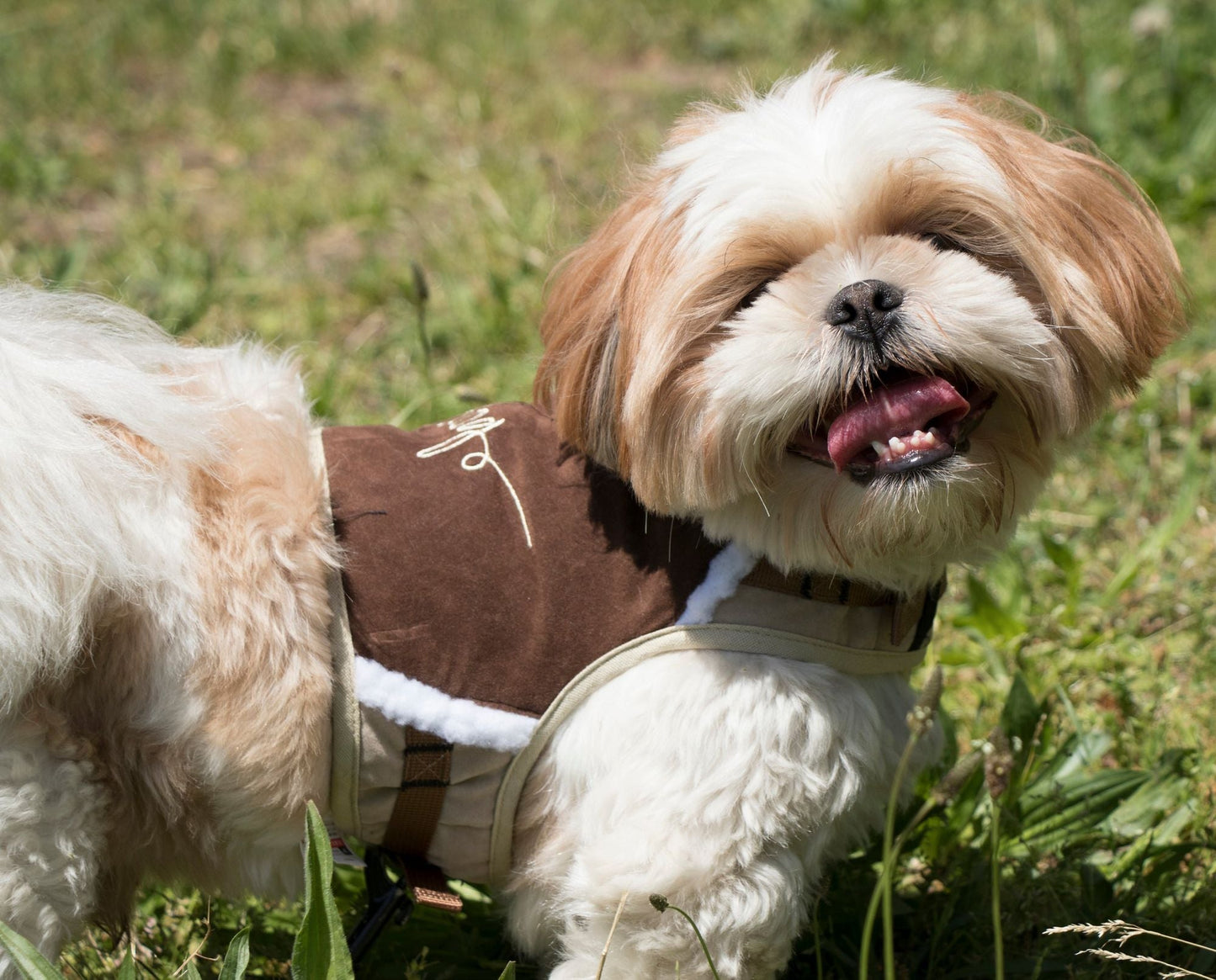 Touchdog Tough - Boutique Adjustable Fashion Dog Harness And Leash