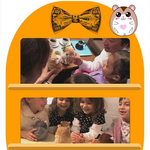 15CM Little Talking Hamster Toy