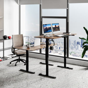 55 Inch Electric Standing Desk Adjustable with Cable Management Hole - Brown - Color: Brown