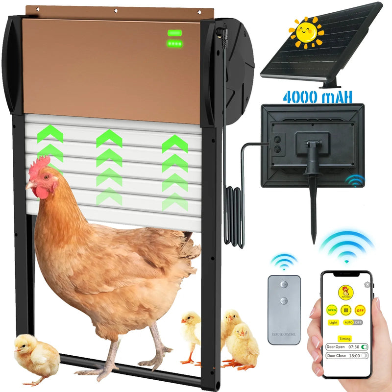 Automatic Chicken Coop Door Solar Powered - with APP Timer, Programmable Light Sensor , Anti - Pinch Type Aluminum Chicken Door, with Remote Control Automatic - Asmota