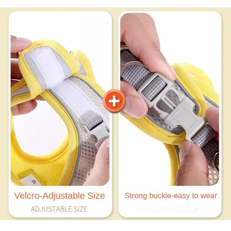 Cat Dog Harness Vest Chest Rope Set Reflective Breathable Adjustable Pet Harness for Small Medium Dogs Outdoor Walking - Asmota