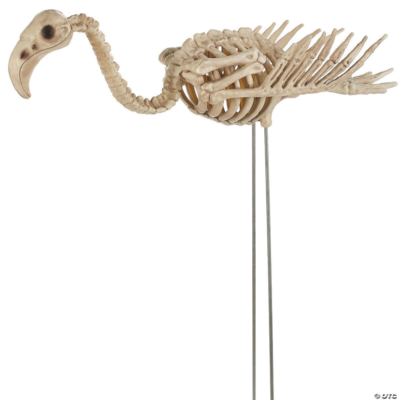 FLAMINGO SKELETON - Asmota