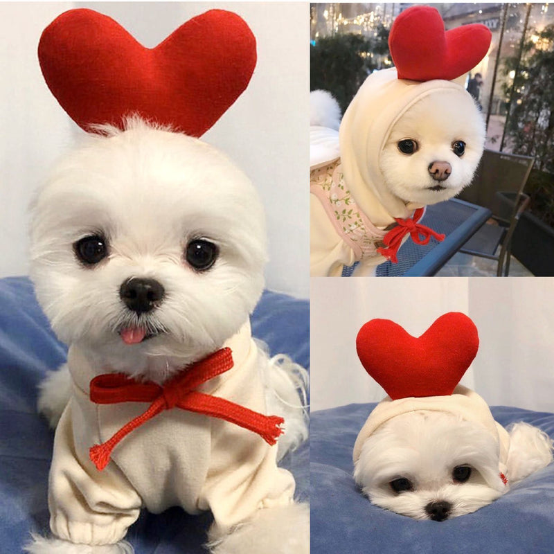 Fruit Dog Clothes Two - legged Hooded Outfits Green Fleece Clothing Autumn Winter Hoodies - Asmota