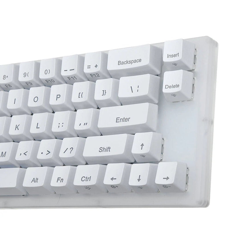 GamaKay K66 Mechanical Keyboard 66 Keys Gateron Switch Hot Swappable Tyce - C Wired RGB Backlit Gaming Keyboard with Crystalline Base for PC Laptop - Asmota