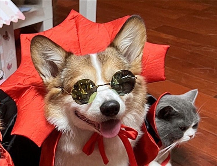 Halloween Pet Costumepet Halloween Cape Vampire King - Asmota