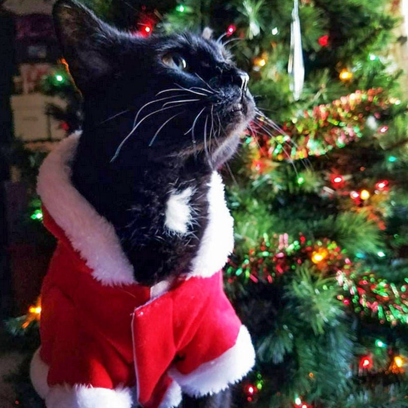 New year clothes winter christmas dog clothes - Asmota