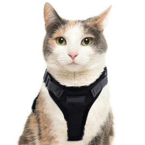 PawProwl - Walking Cat Harness