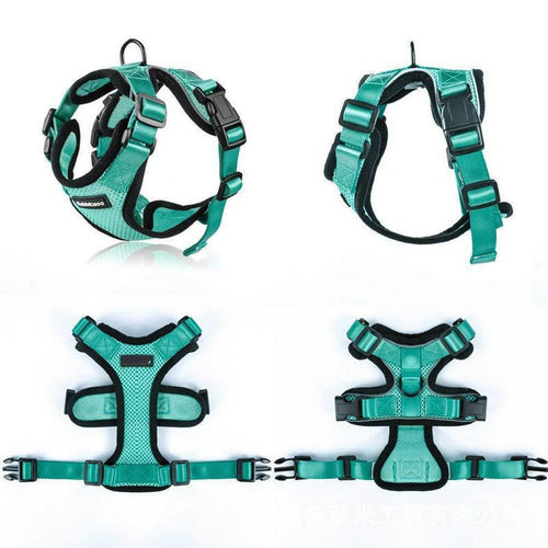 PawProwl - Walking Cat Harness