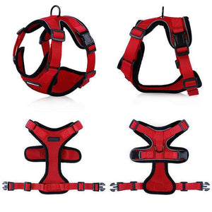 PawProwl - Walking Cat Harness