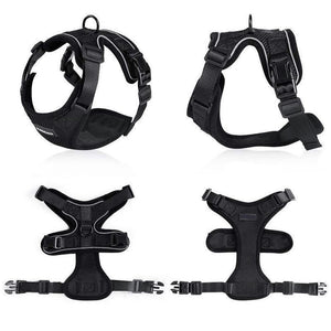 PawProwl - Walking Cat Harness
