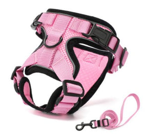 PawProwl - Walking Cat Harness