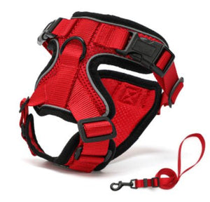 PawProwl - Walking Cat Harness