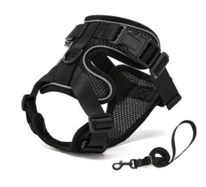 PawProwl - Walking Cat Harness