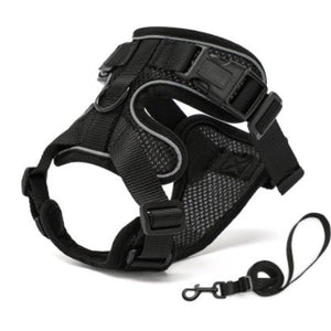 PawProwl - Walking Cat Harness