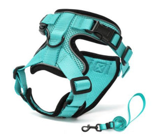 PawProwl - Walking Cat Harness