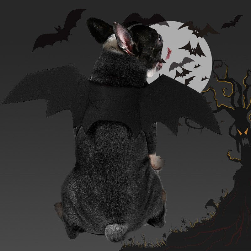 Pet bat wings clothes - Asmota