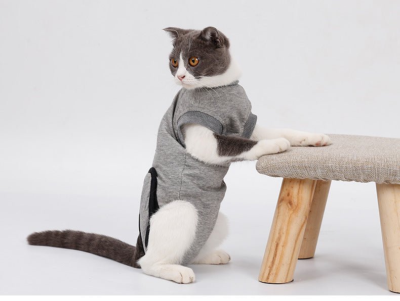 Pet Cat Recovery After Surgery Clothing Pet Wound Anti - mite Sterilization Suit pet products supplies &c - Asmota
