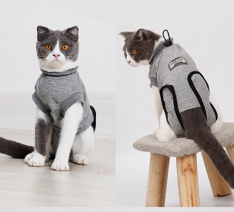 Pet Cat Recovery After Surgery Clothing Pet Wound Anti - mite Sterilization Suit pet products supplies &c - Asmota