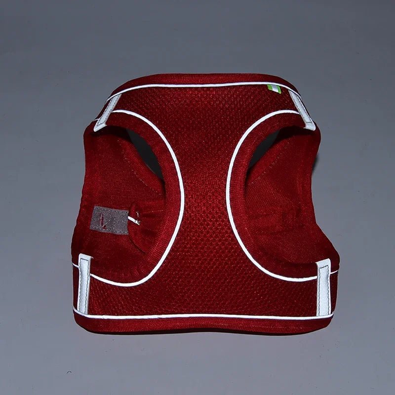 Puppy Harness Set Dog Accessories Adjustable Puppy and Cat Harness Vest French Bulldog Chihuahua Small Dog Collar Pet Leash Dogs - Asmota