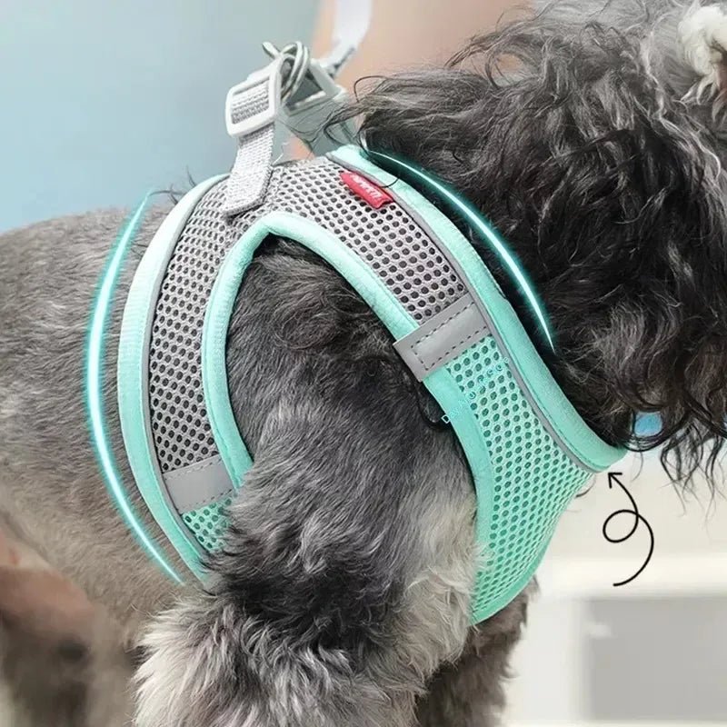 Puppy Harness Set Dog Accessories Adjustable Puppy and Cat Harness Vest French Bulldog Chihuahua Small Dog Collar Pet Leash Dogs - Asmota