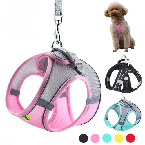 Puppy Harness Set Dog Accessories Adjustable Puppy and Cat Harness Vest French Bulldog Chihuahua Small Dog Collar Pet Leash Dogs - Asmota