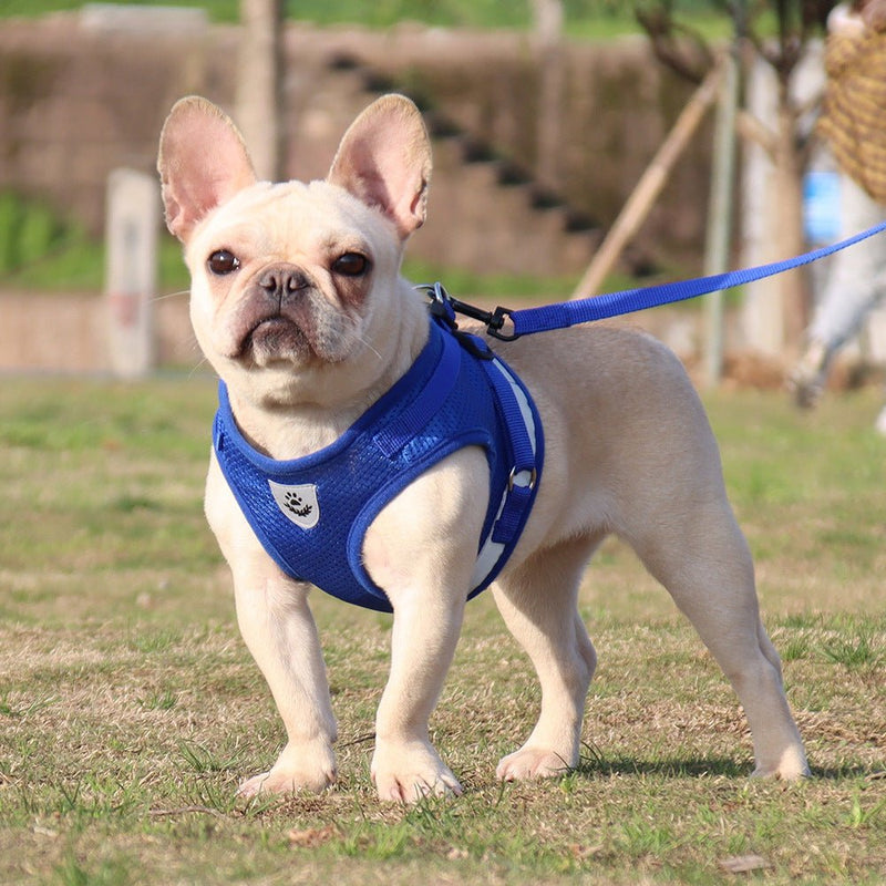Reflective And Breathable Pet Chest Strap - Asmota