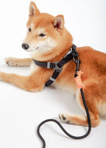 Touchdog 'Macaron' 2 - in - 1 Durable Nylon Dog Harness and Leash