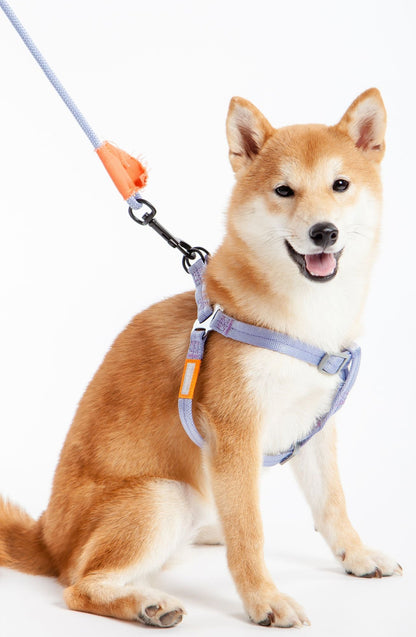 Touchdog 'Macaron' 2 - in - 1 Durable Nylon Dog Harness and Leash
