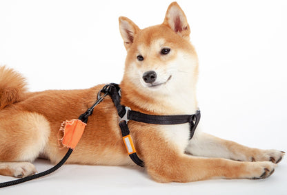 Touchdog 'Macaron' 2 - in - 1 Durable Nylon Dog Harness and Leash
