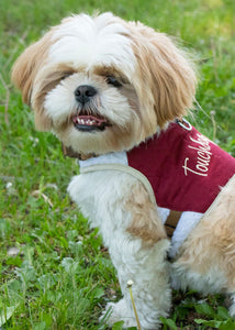 Touchdog Tough - Boutique Adjustable Fashion Dog Harness And Leash