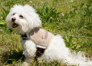 Touchdog Tough - Boutique Adjustable Fashion Dog Harness And Leash