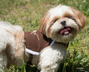 Touchdog Tough - Boutique Adjustable Fashion Dog Harness And Leash