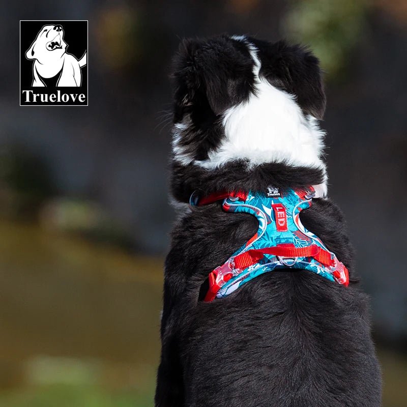 Truelove Pet Harness Small Medium Large Split Dog Fashion Outdoor Dropshipping - Asmota